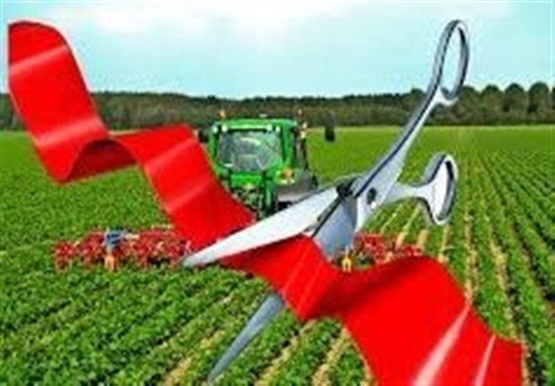 بهره‌برداری ۵۱ طرح کشاورزی کشاورزی ایلام در هفته دولت