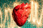 استرس و مشکلات مالی چگونه می‌توانند قلب را فرسوده کنند؟