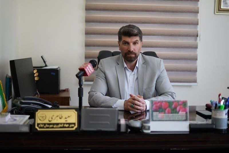 پلمب ۱۰ نانوایی و تشکیل ۱۶۳ پرونده تخلف در ایلام